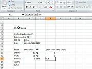 Vkladanie dat Excel - ako vkladať data v Exceli - 1.diel