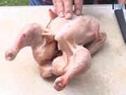 Ako vykostiť kura - vykostenie kuraťa - grilovanie kuraťa
