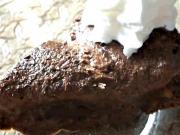 Čokoládovo - tvarohový koláč - recept na tvarohový koláč