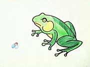 Žaba - ako sa kreslí žaba, ako nakresliť žabu