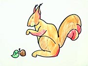 Veverička - ako sa kreslí veverička, ako nakresliť veveričku