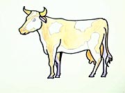Kravička - ako sa kreslí krava, ako nakresliť kravu, kravičku