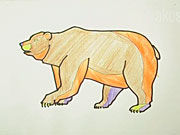 Medveď - ako sa kreslí medveď